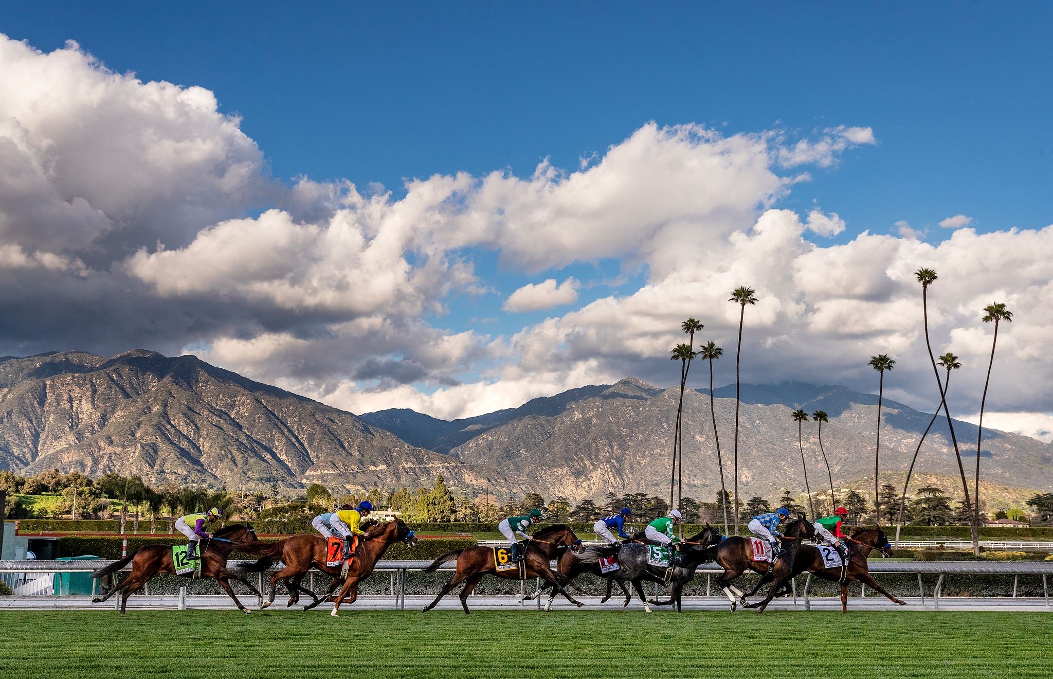 horses racing with mountains in background